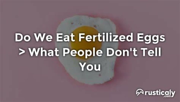 Do we eat fertilized eggs?