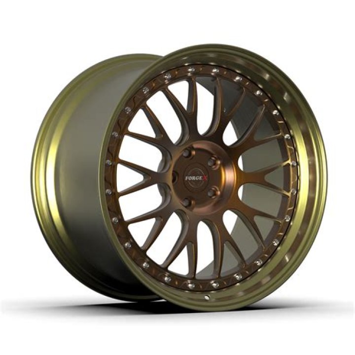Do wheels exist in nature?