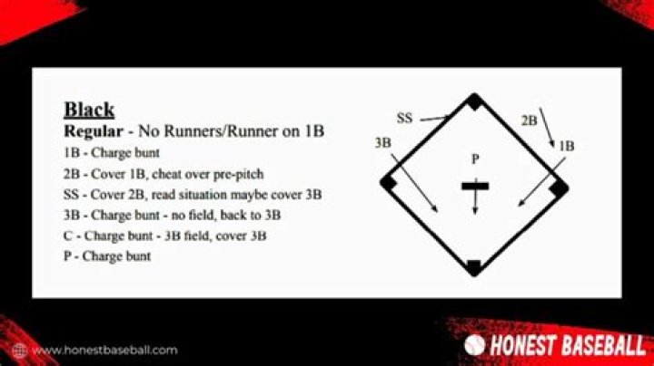 Do you have to pull the bat back on a bunt?