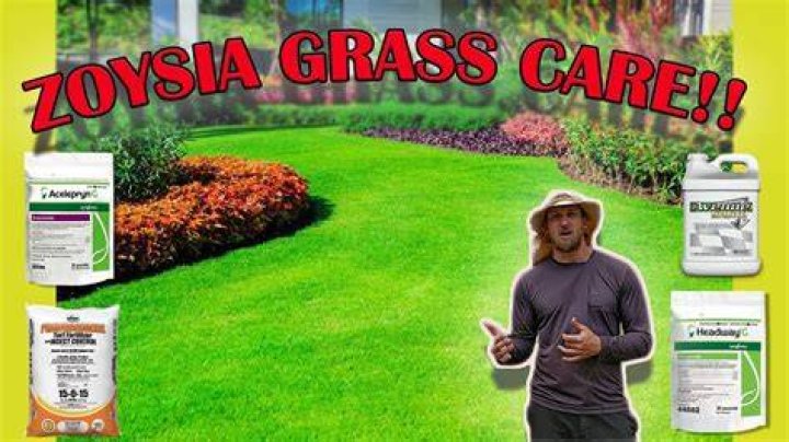 Do you need reel mower for zoysia grass?