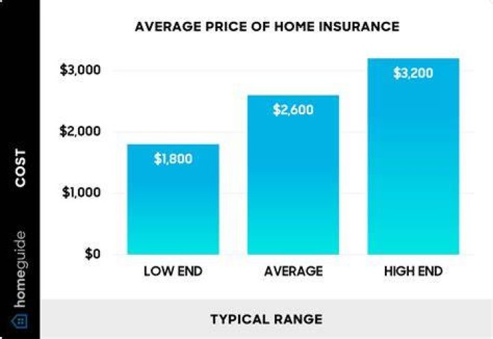 Does a cat's car cost more to insure?