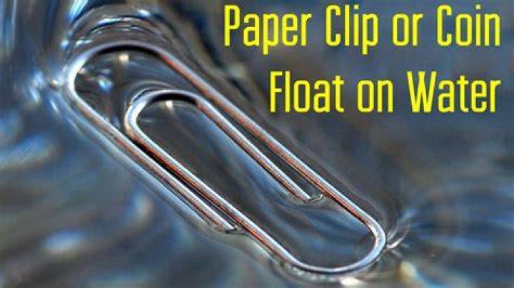 Does a paperclip sink or float?
