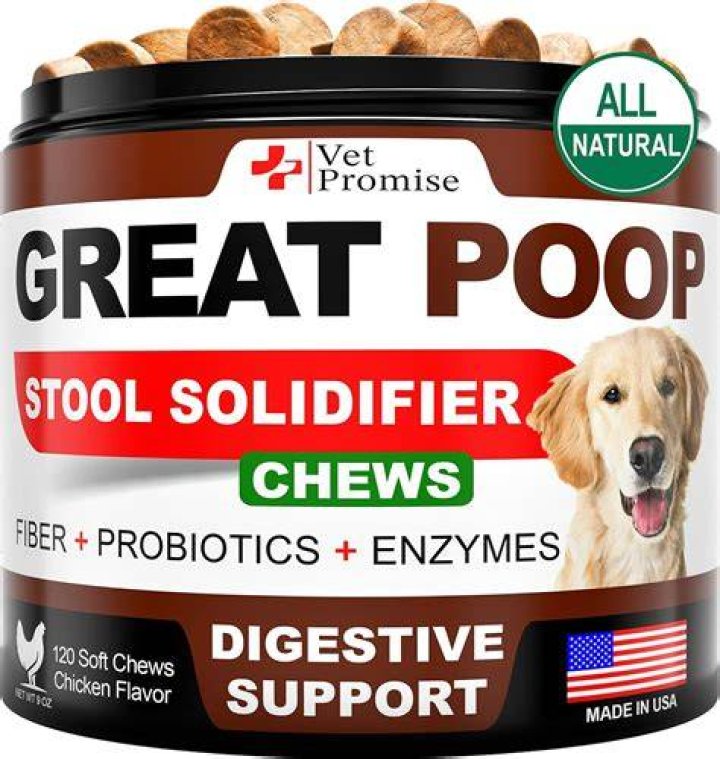 Does banana firm up dog stool?