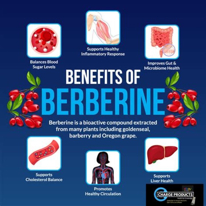 Does berberine help infection?