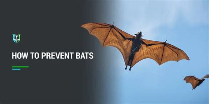 Does bright light deter bats?
