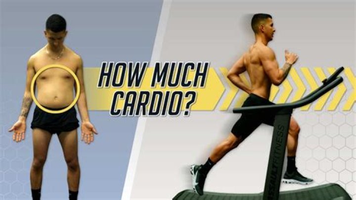 Does cardio help with belly fat?