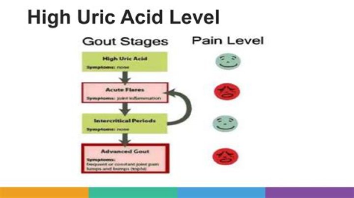 Does cheese increase uric acid?