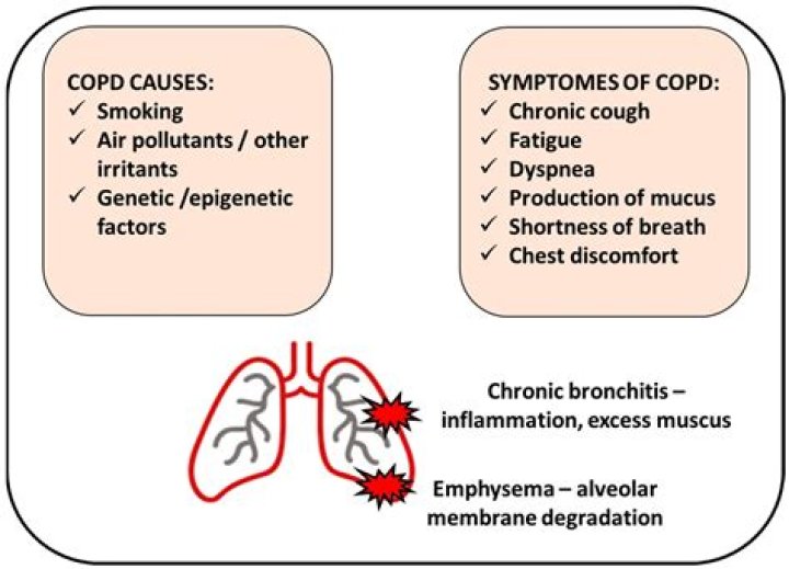 Does COPD always have a cough?