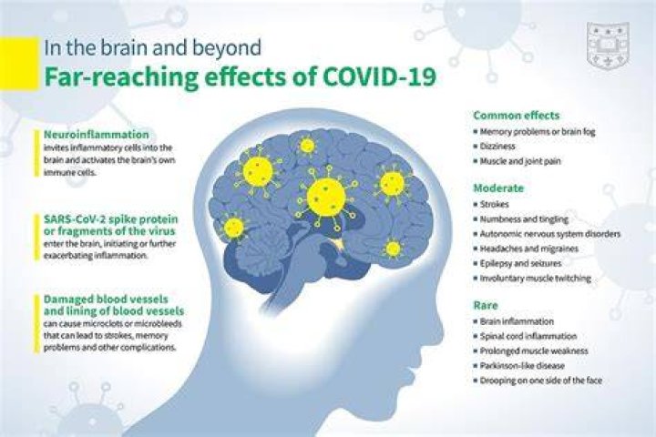 Does Covid 19 have neurological effects?