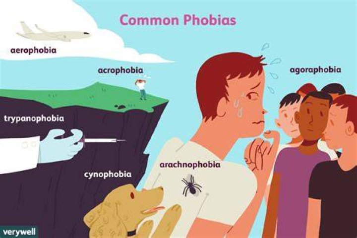 Does everyone have a phobia?