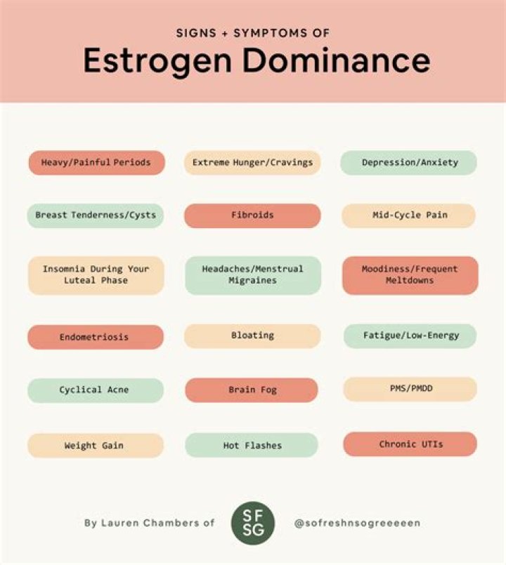 Does fennel increase estrogen?