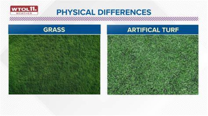Does Green Bay play on real grass?