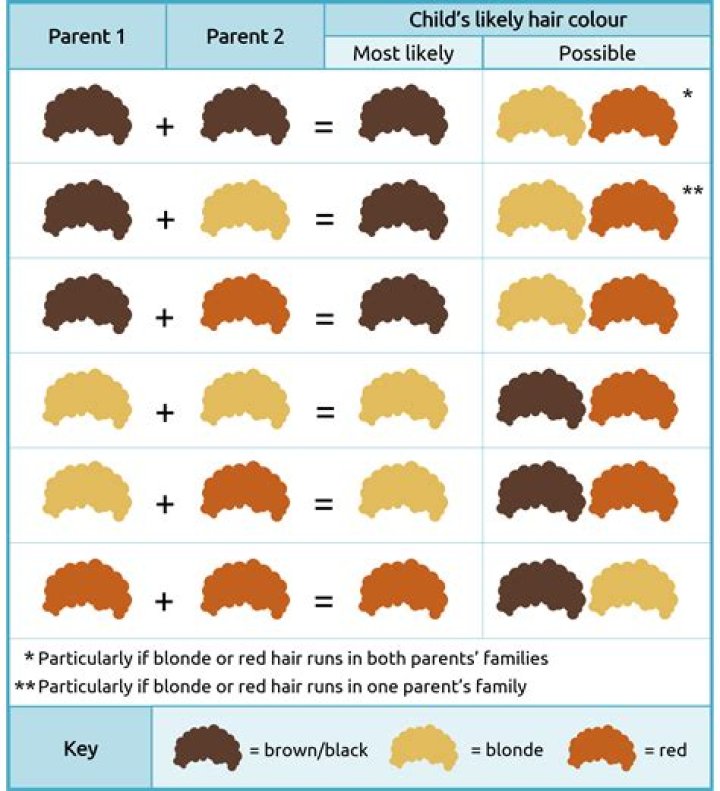 Does hair color come from Mom or Dad?