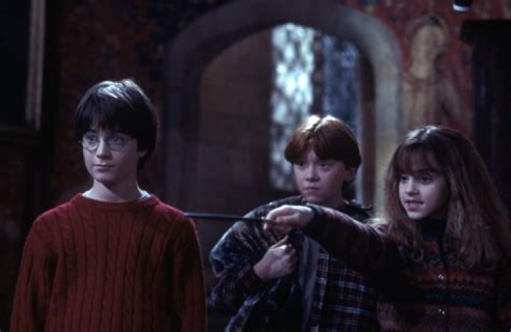 Does Hermione use Petrificus Totalus?