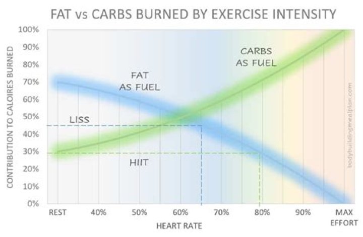Does HIIT burn carbs or fat?