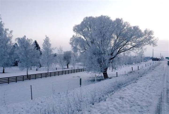 Does it get cold in New Zealand?