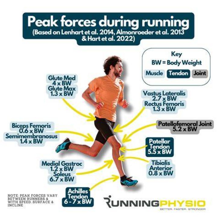 Does jogging improve speed?