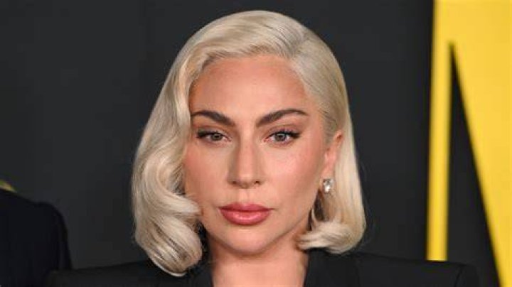 Does Lady Gaga own Polaroid?