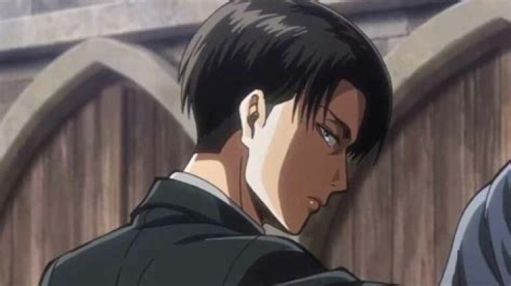 Does Levi Ackerman have a sister?