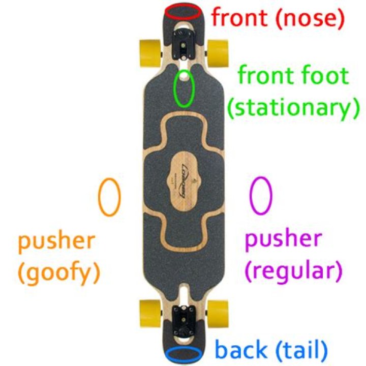 Does longboarding work your butt?