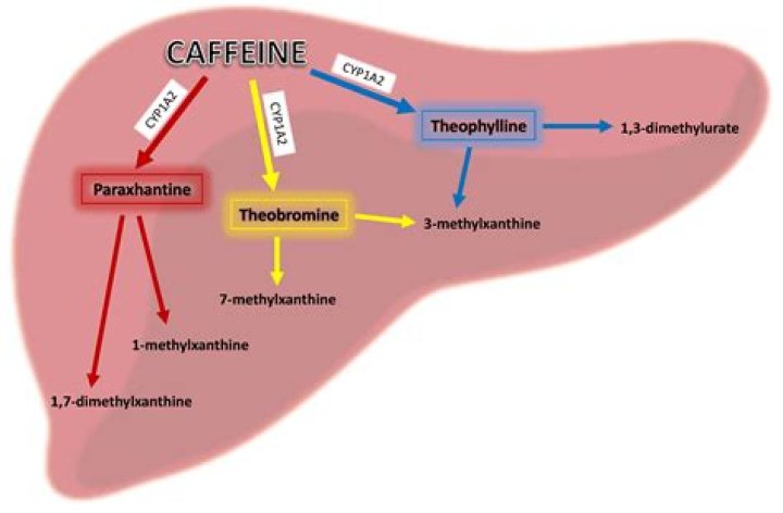 Does MRE gum have caffeine?