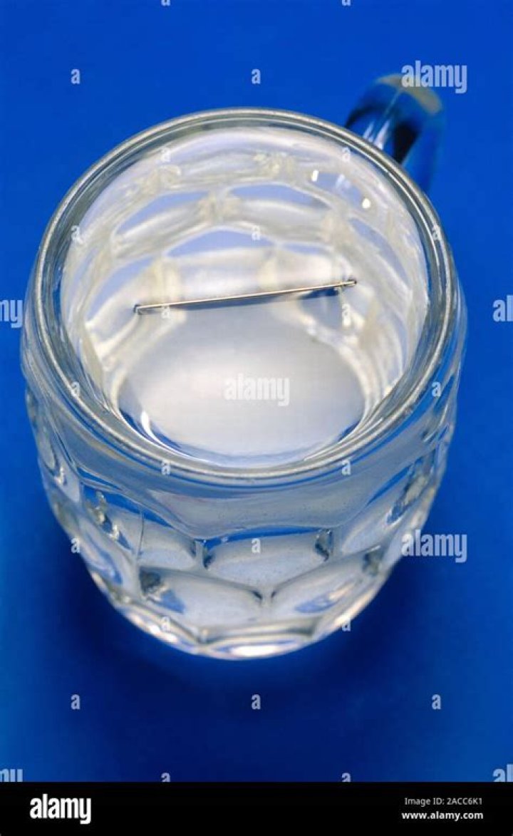Does needle float on water?