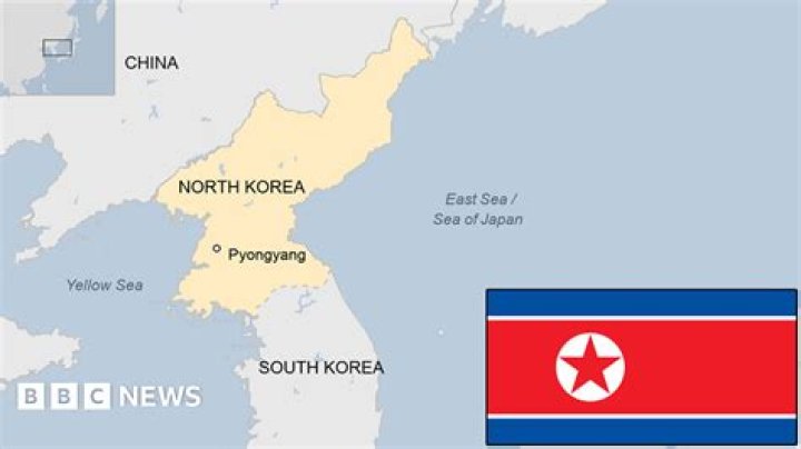 Does North Korea have the Internet?