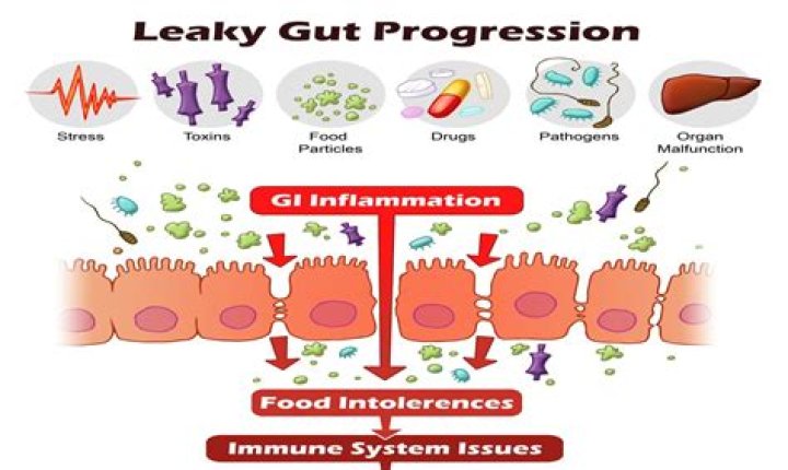 Does oats cause leaky gut?