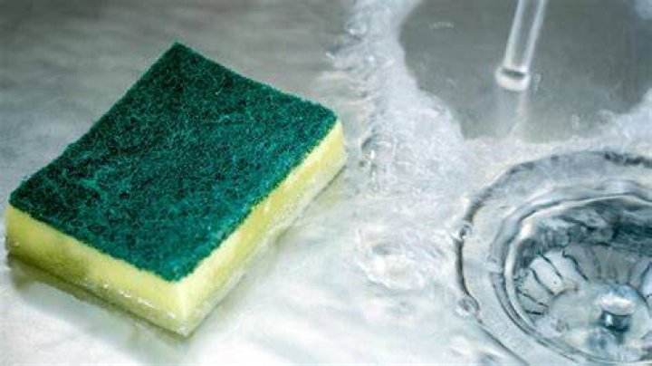 Does sponge float or sink?
