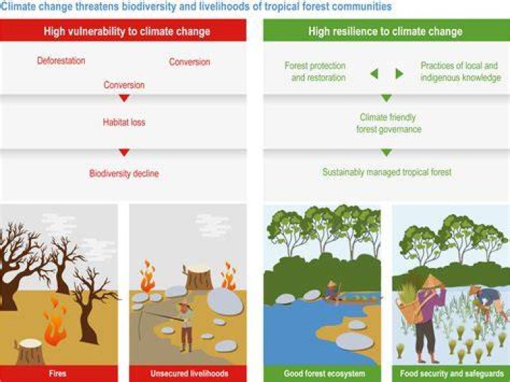 Does tidal energy destroy habitats?