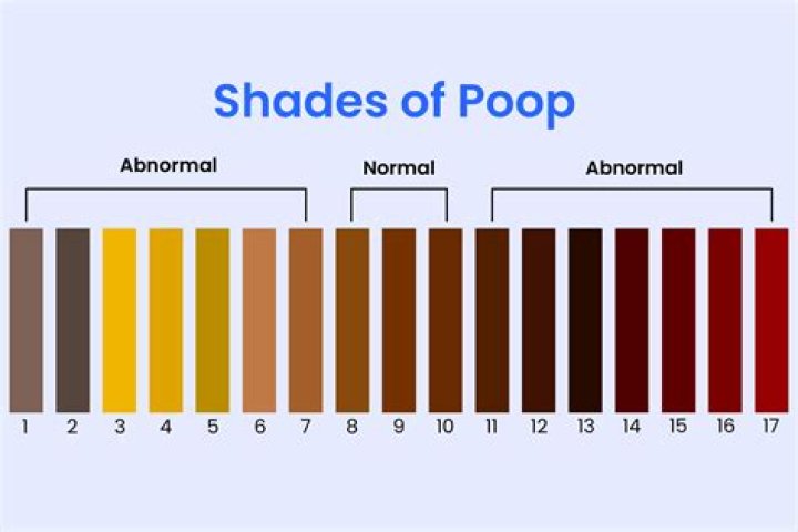 Does turmeric make poop yellow?