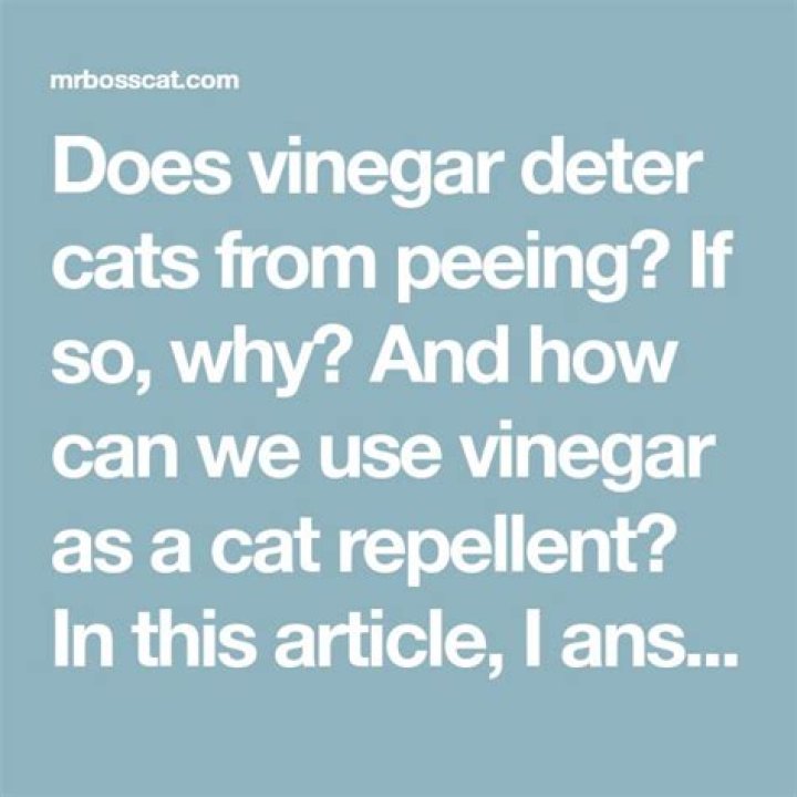 Does vinegar deter cats from peeing?