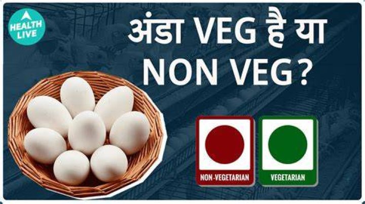 Does Virat eat Nonveg?