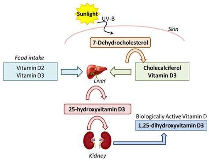 Does Vit D help Parkinson's?