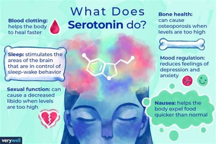 Does vitamin D increase serotonin?