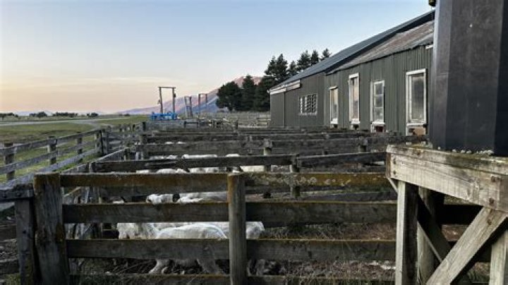 Does wool shed water?