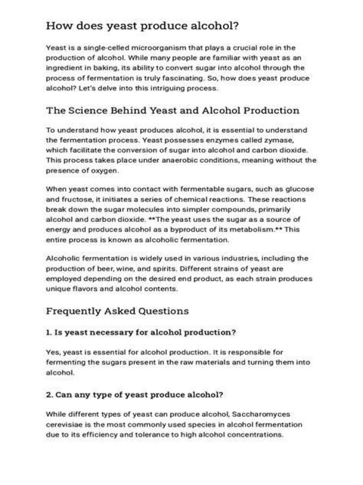 Does yeast produce alcohol?