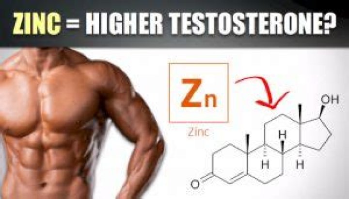 Does zinc increase testosterone?