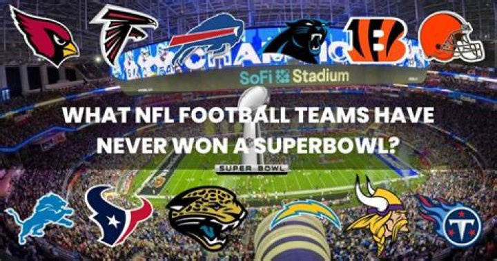 Has an NFL team never won a game?