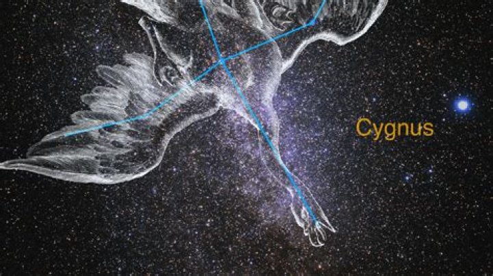 How are Cygnus and Orion Black related?