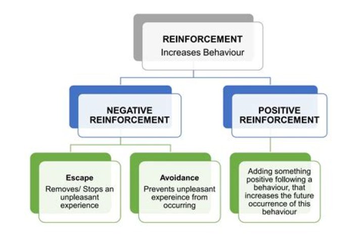 How are rewards and punishments different from positive and negative reinforcement?