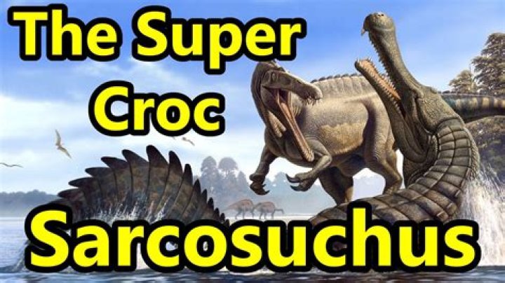 How big is a super croc?