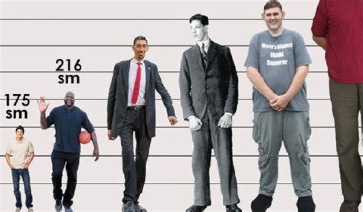 How can I get 6 inches taller?