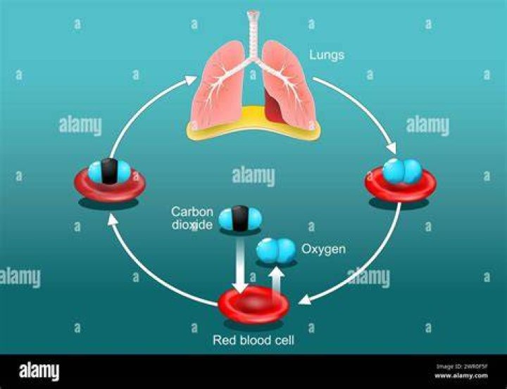 How can I get more oxygen?