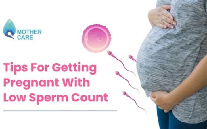 How can I get my wife pregnant with low sperm count?