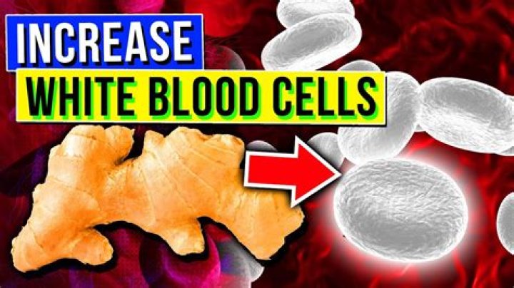 How can I increase my brain cells naturally?