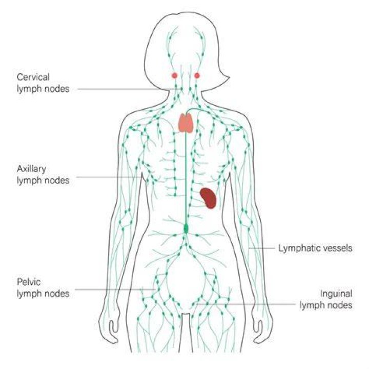 How can I naturally drain my lymph nodes?