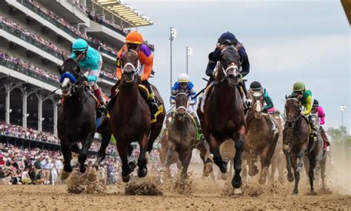 How can I watch horse racing in the UK for free?