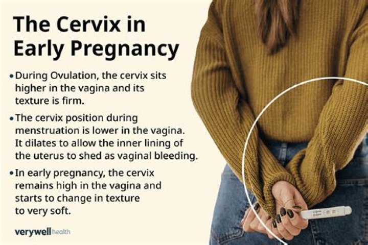 How can we know that cervix is open?