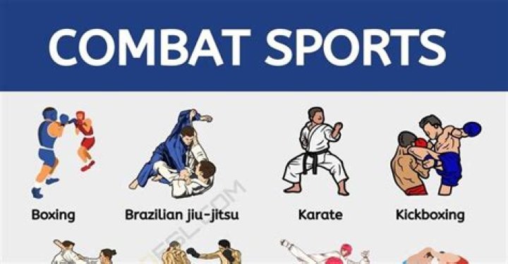 How can we make combative sports safer?